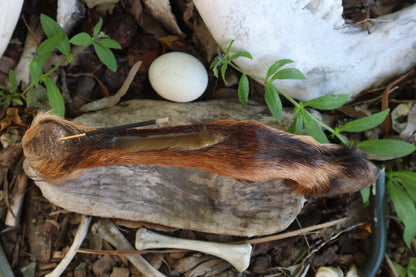 Reserved for Sammy - Goat Hoof Incense Burner