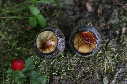 Dry Preserved Bobcat Eyeballs