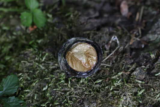 Dry Preserved Bobcat Eyeball
