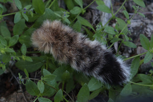Soft Tanned Bobcat Tail