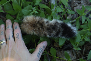 Soft Tanned Bobcat Tail