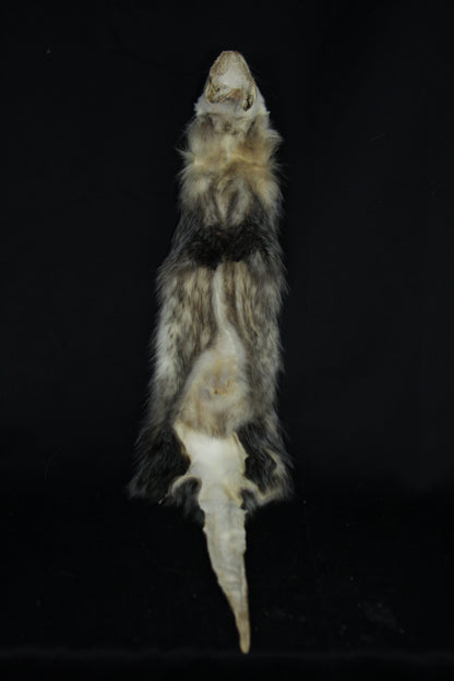 Reserved for Zia - Opossum Wall Hanger