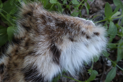 Soft Tanned Bobcat Arm