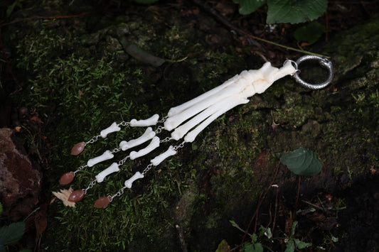 Fluid Bobcat Paw Articulation with Sunstone “Claws”