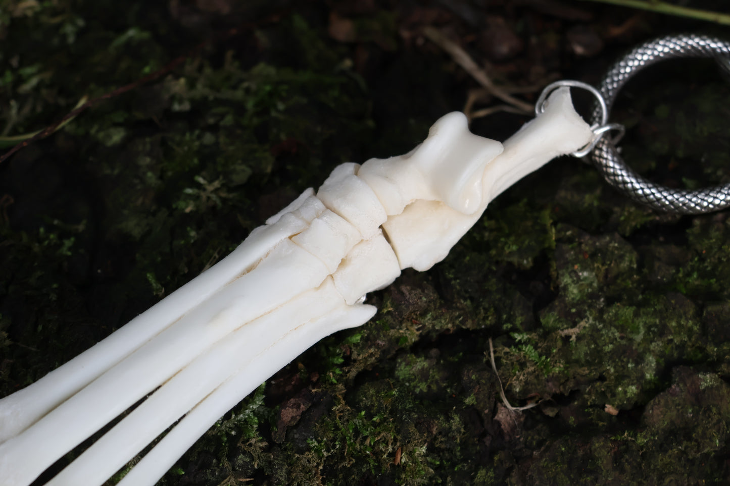 Fluid Bobcat Paw Articulation with Sunstone “Claws”