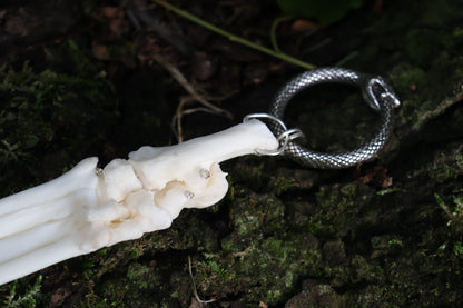 Fluid Bobcat Paw Articulation with Sunstone “Claws”