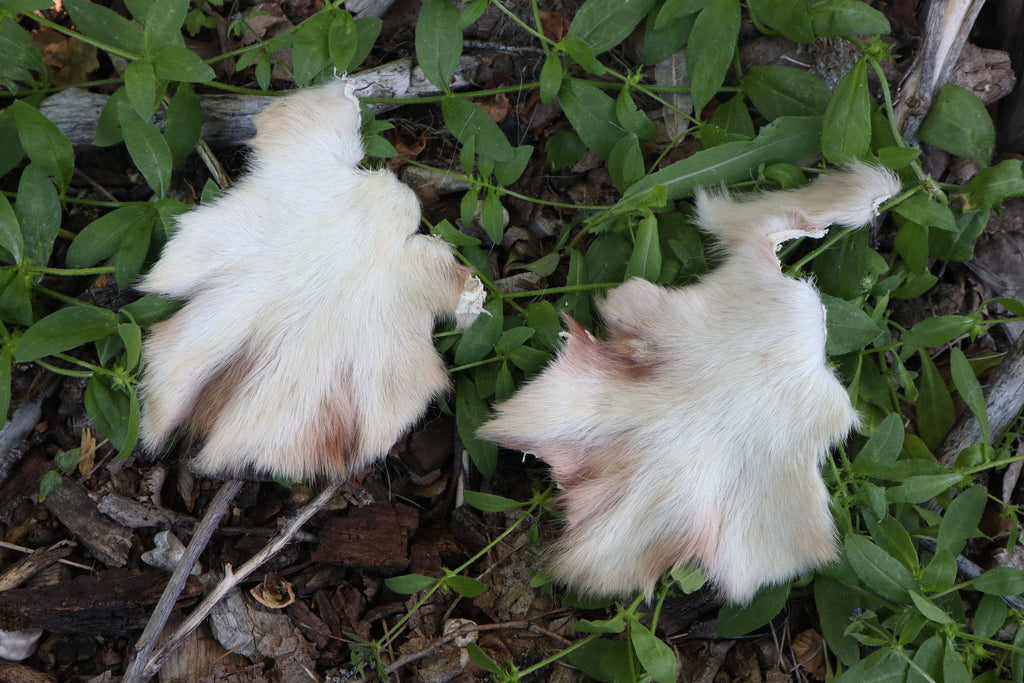 Craft Soft Tanned Wolf Paws
