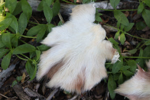 Craft Soft Tanned Wolf Paws