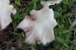 Craft Soft Tanned Wolf Paws