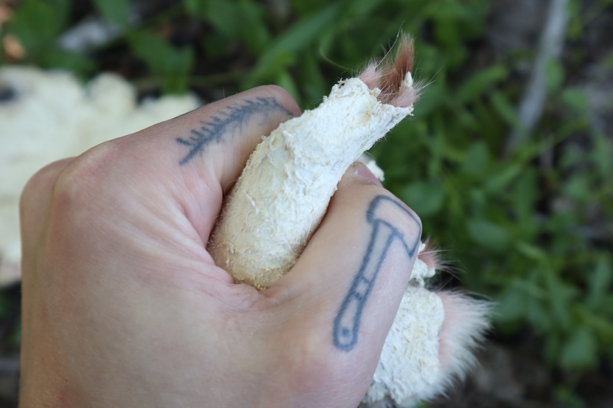 Craft Soft Tanned Wolf Paws