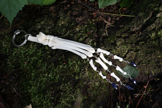 Fluid Bobcat Paw Articulation with Lapis Lazuli “Claws”