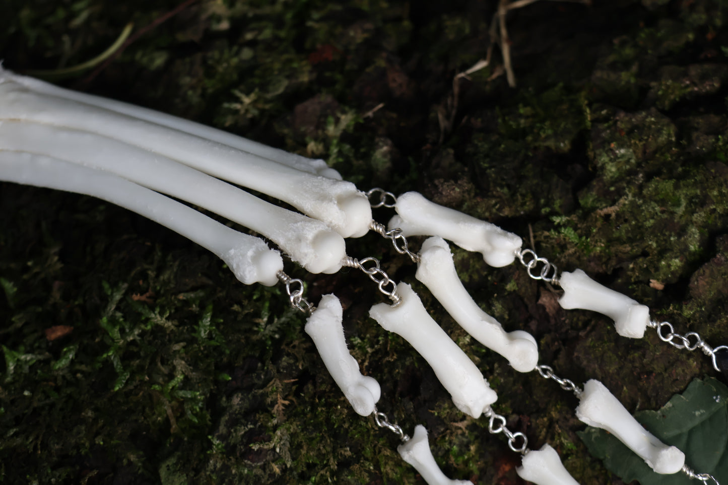 Fluid Bobcat Paw Articulation with Lapis Lazuli “Claws”