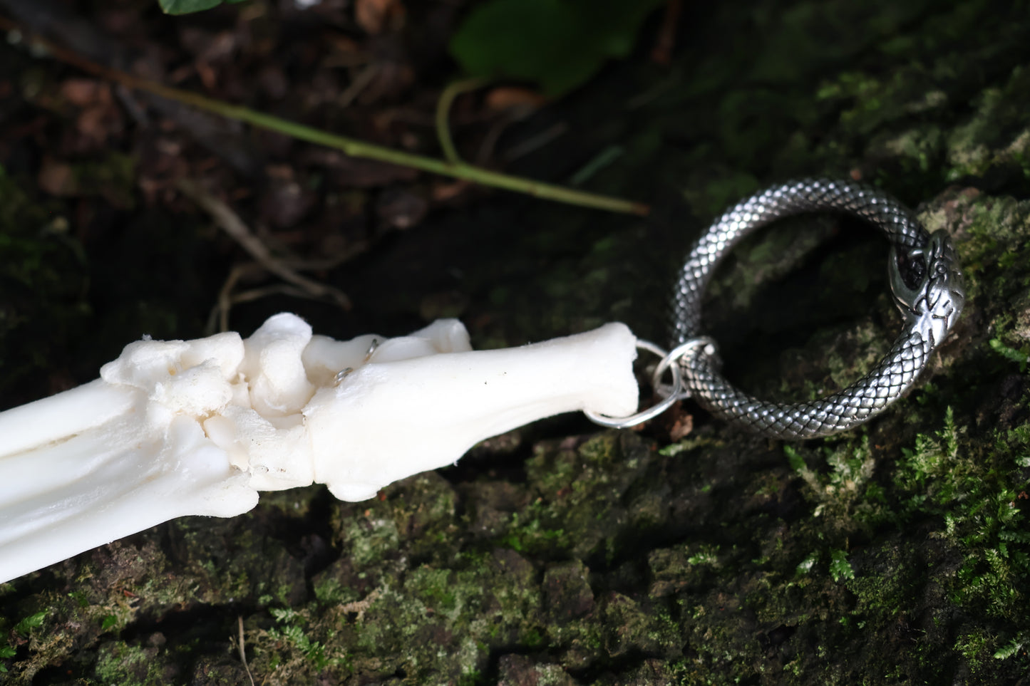 Fluid Bobcat Paw Articulation with Lapis Lazuli “Claws”