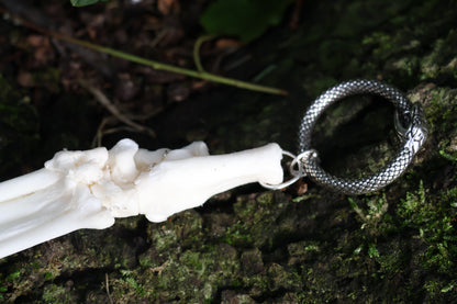 Fluid Bobcat Paw Articulation with Lapis Lazuli “Claws”