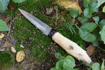 Spotted Damascus Coyote Paw Knife