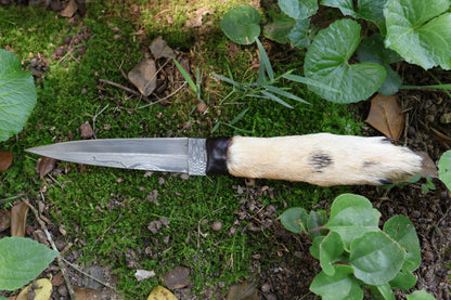 Spotted Damascus Coyote Paw Knife