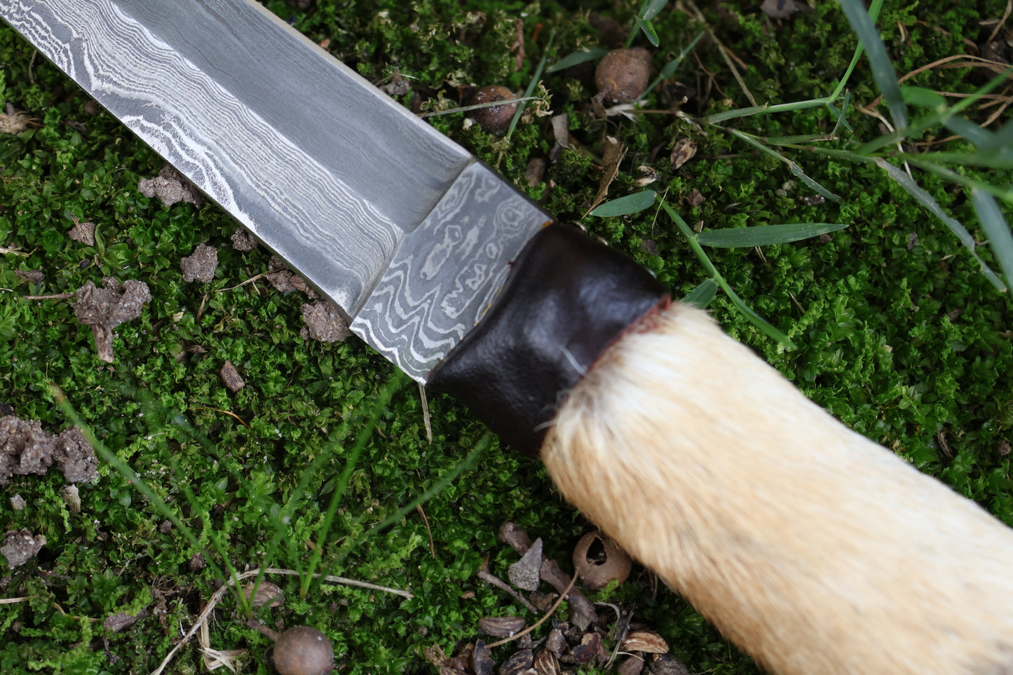 Spotted Damascus Coyote Paw Knife
