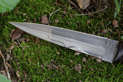 Spotted Damascus Coyote Paw Knife