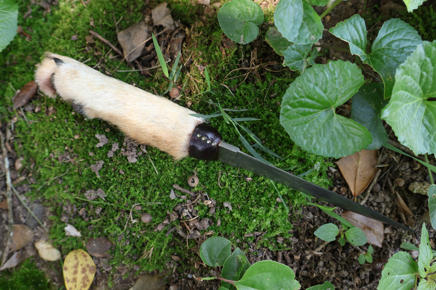 Spotted Damascus Coyote Paw Knife