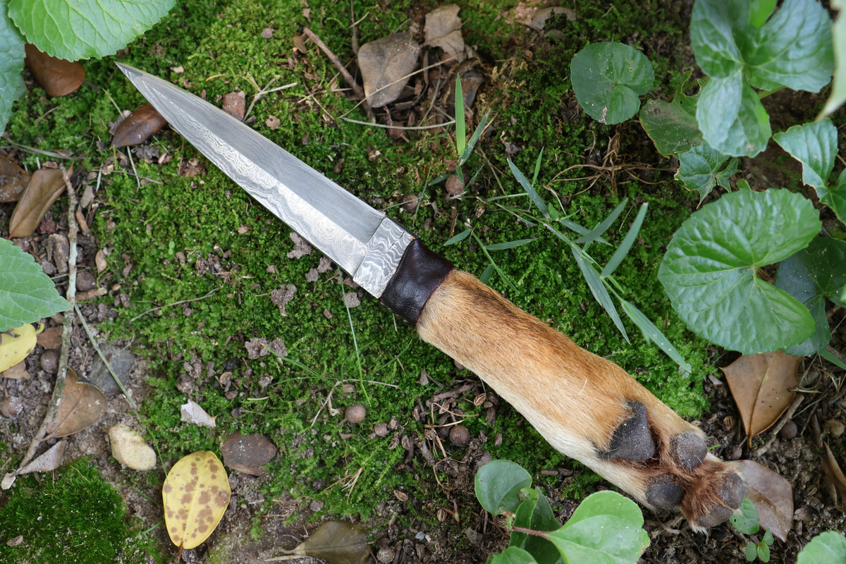 Spotted Damascus Coyote Paw Knife