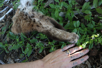 Reserved for Sammy - Soft Tanned Bobcat Leg