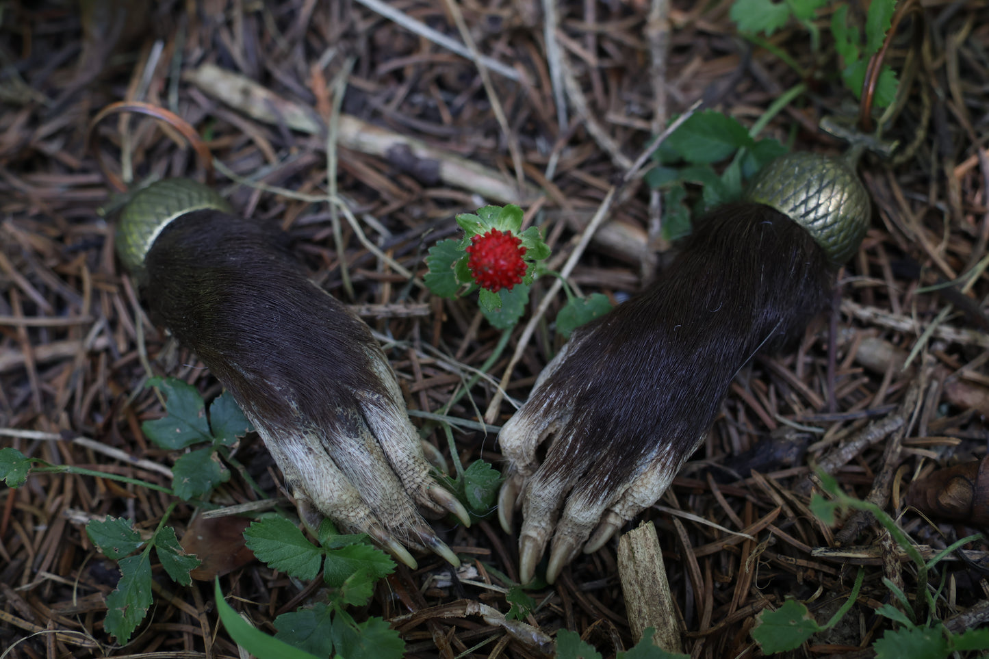 Opossum Paw Acorn Keychain