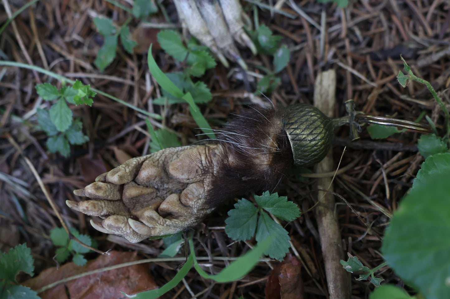 Opossum Paw Acorn Keychain