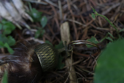 Opossum Paw Acorn Keychain