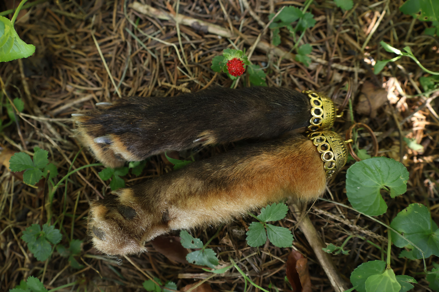 Red Fox Paw Keychains