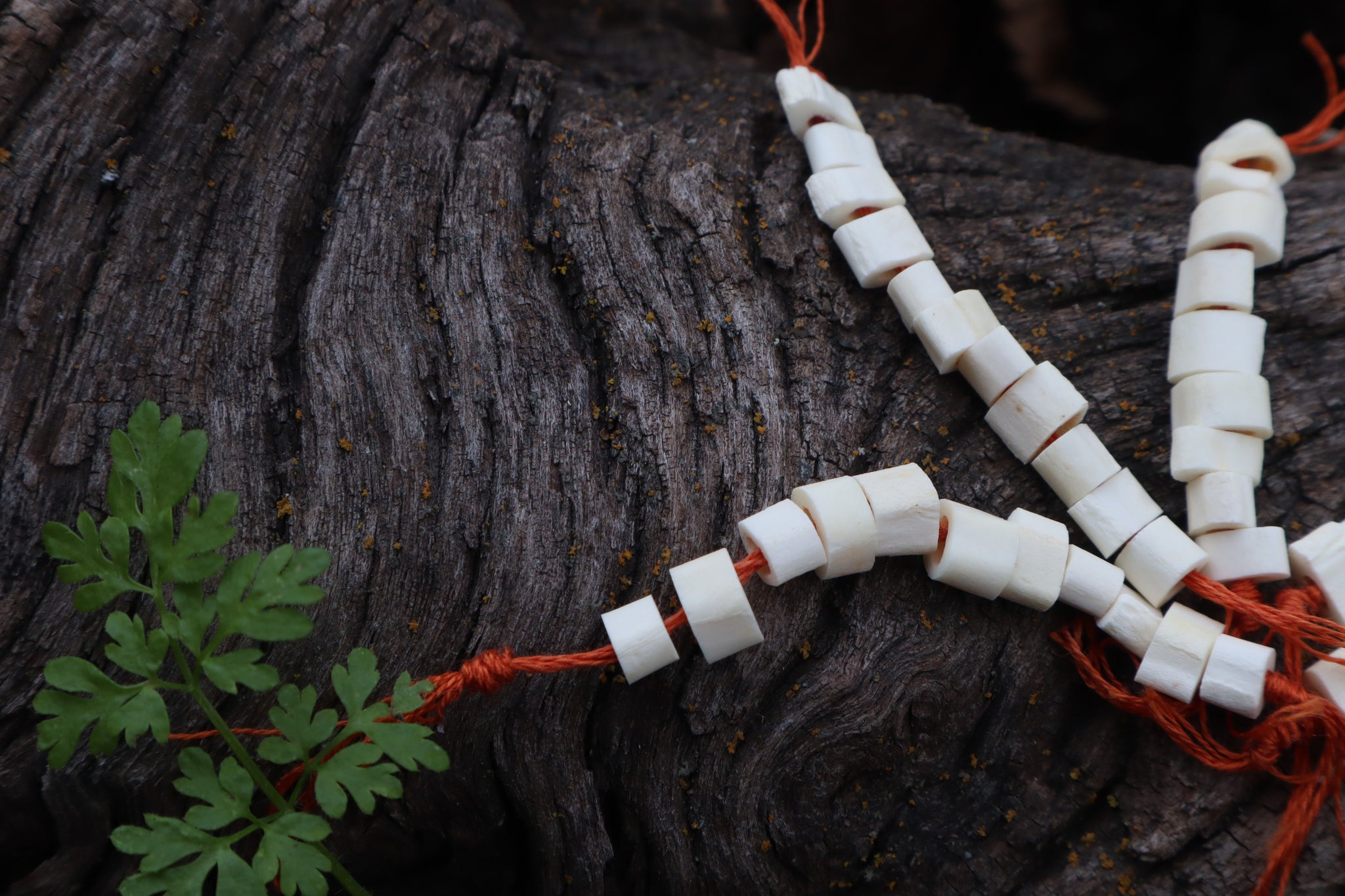 Red Fox Bone Beads
