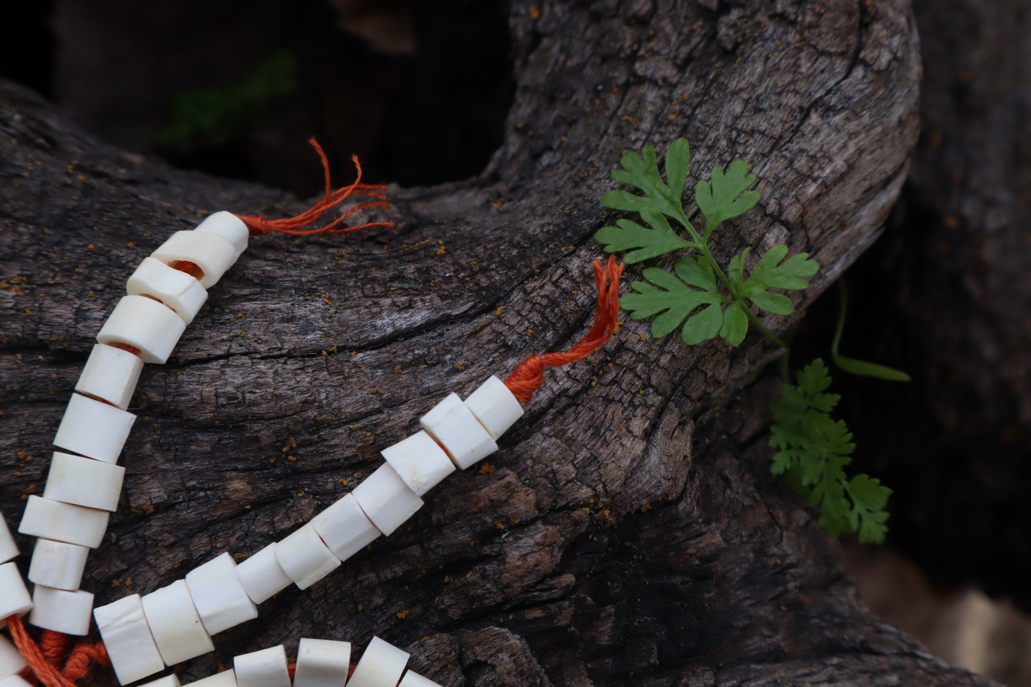 Red Fox Bone Beads