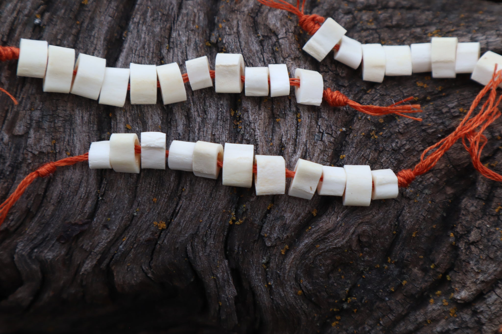 Red Fox Bone Beads