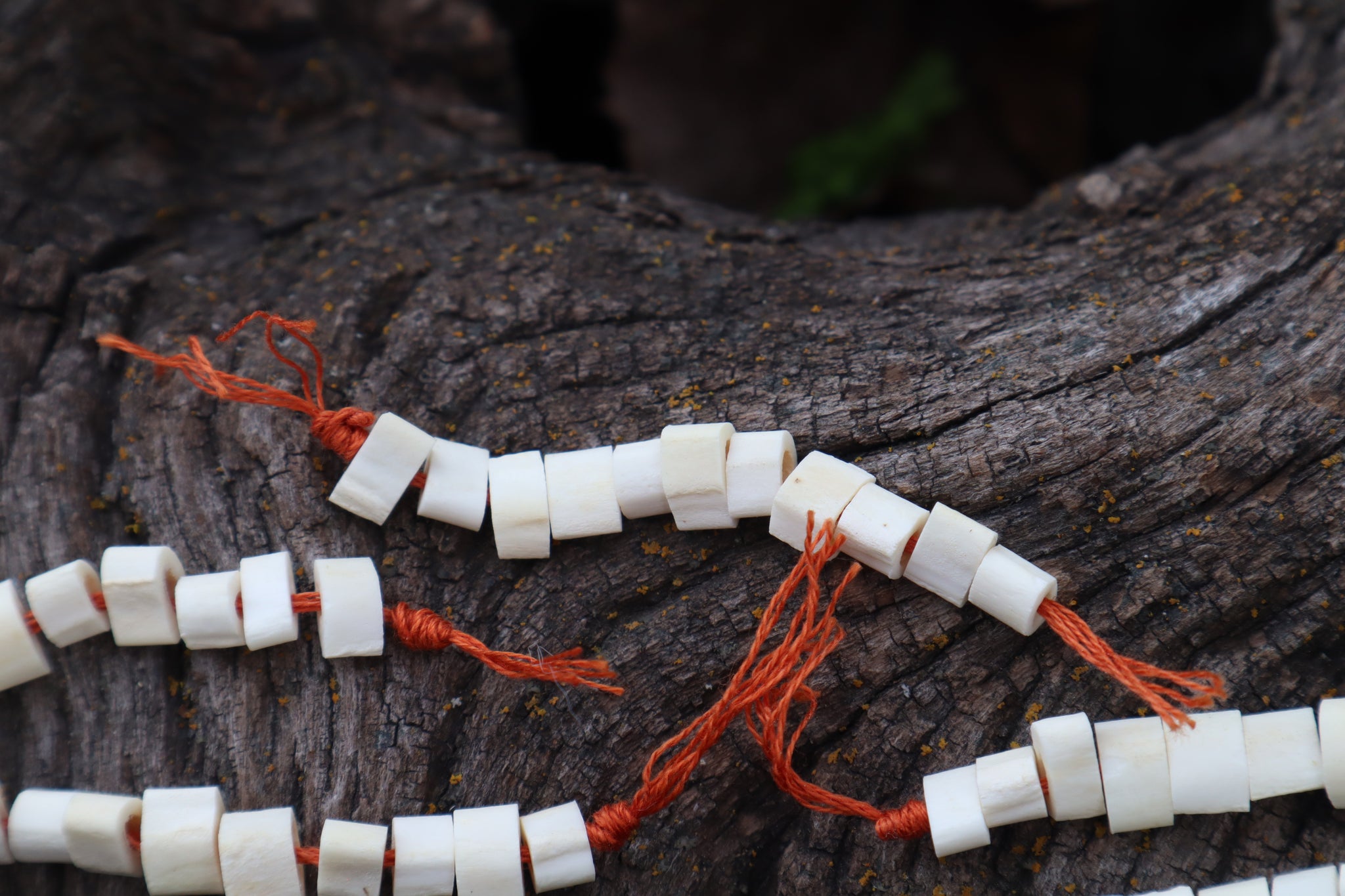 Red Fox Bone Beads