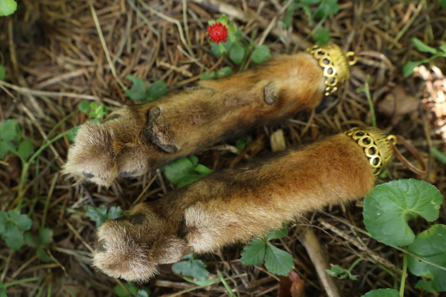 Red Fox Paw Keychains