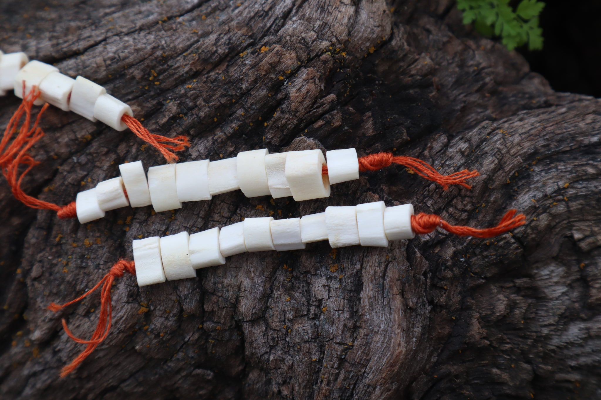 Red Fox Bone Beads