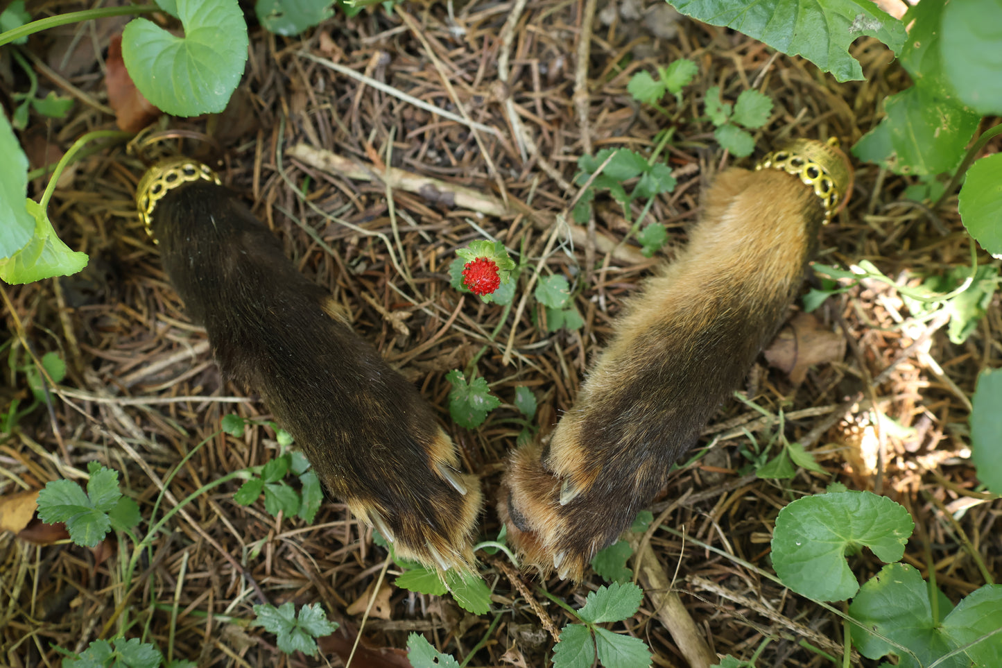 Red Fox Paw Keychains