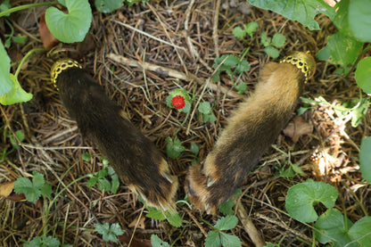 Red Fox Paw Keychains