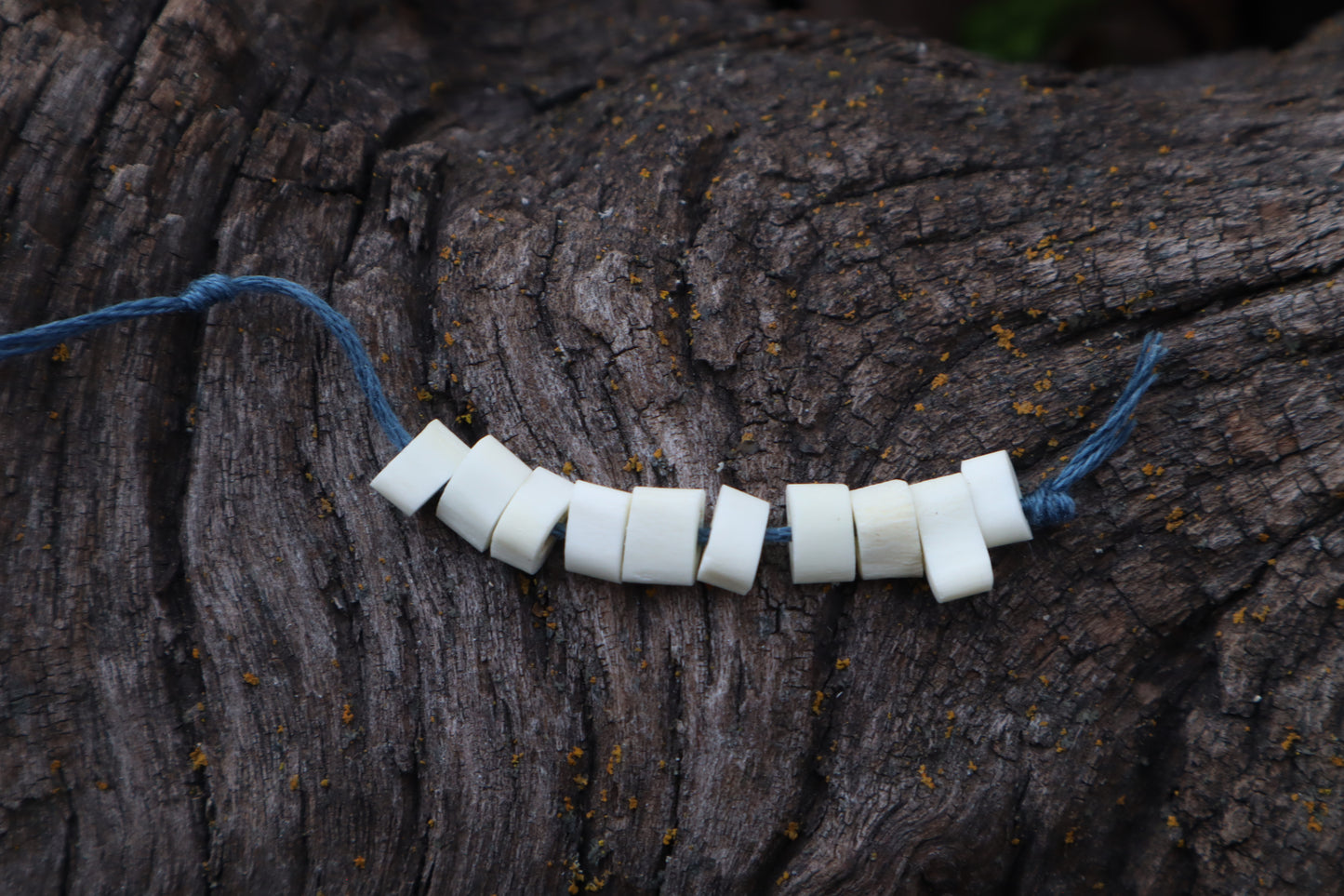 Bobcat Bone Beads