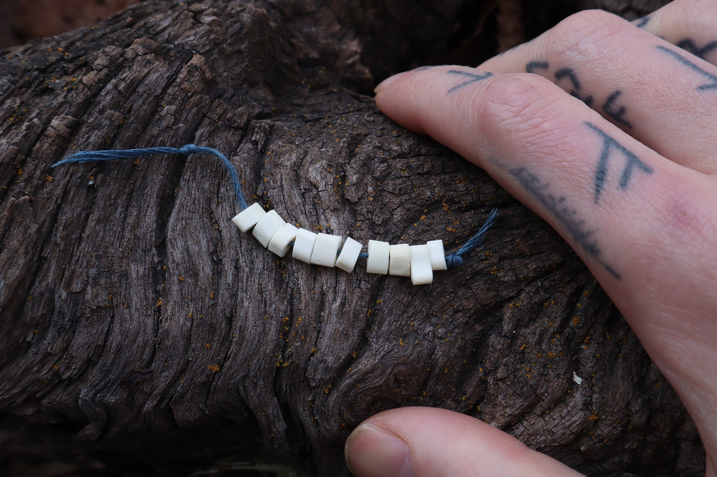 Bobcat Bone Beads