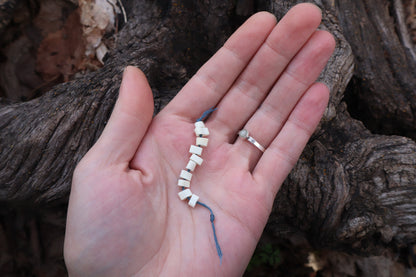 Bobcat Bone Beads