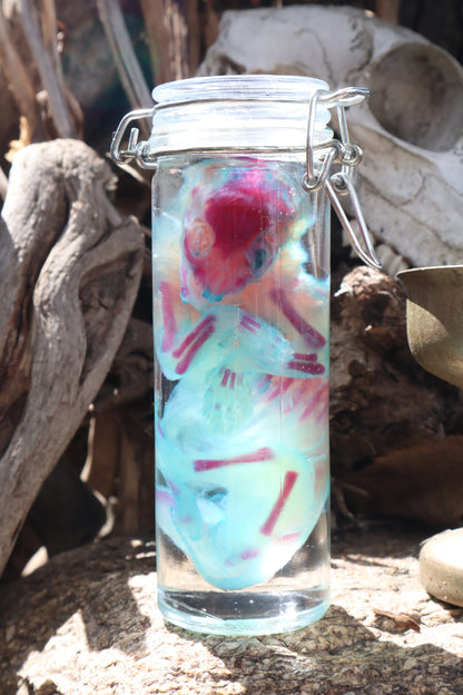 Diaphonized Fetal Bobcat