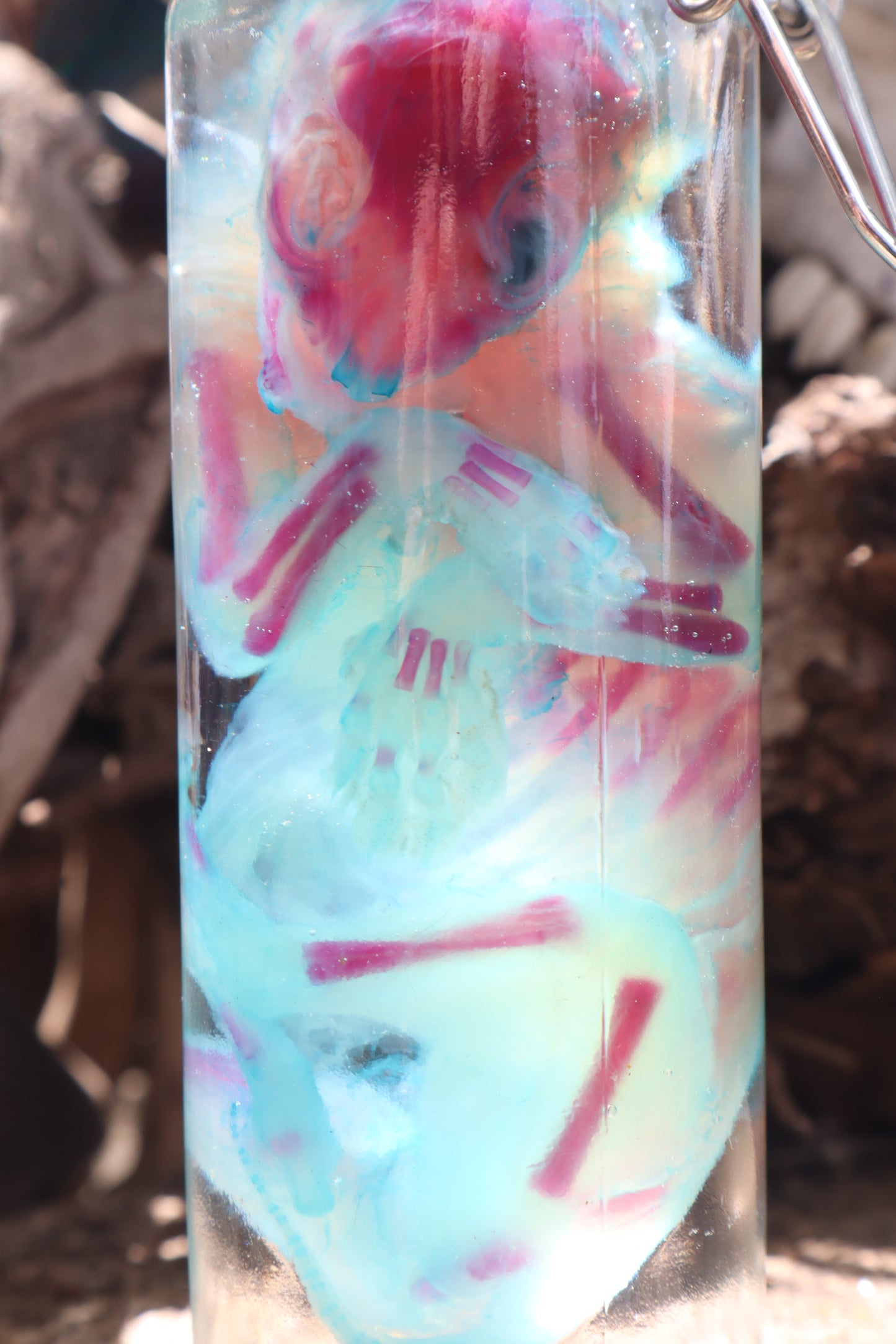 Diaphonized Fetal Bobcat
