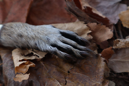 Reserved for Isabel - Raccoon Paw Knife