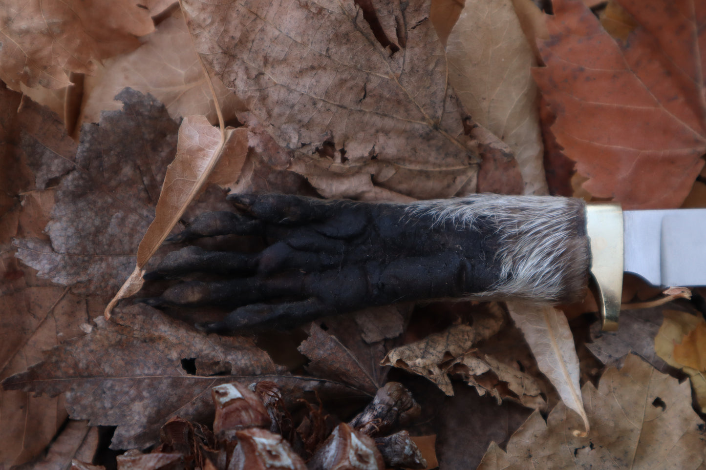 Reserved for Isabel - Raccoon Paw Knife