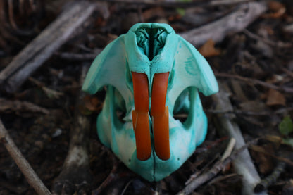 Blue Copper Beaver Skull