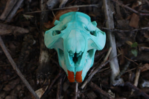 Blue Copper Beaver Skull