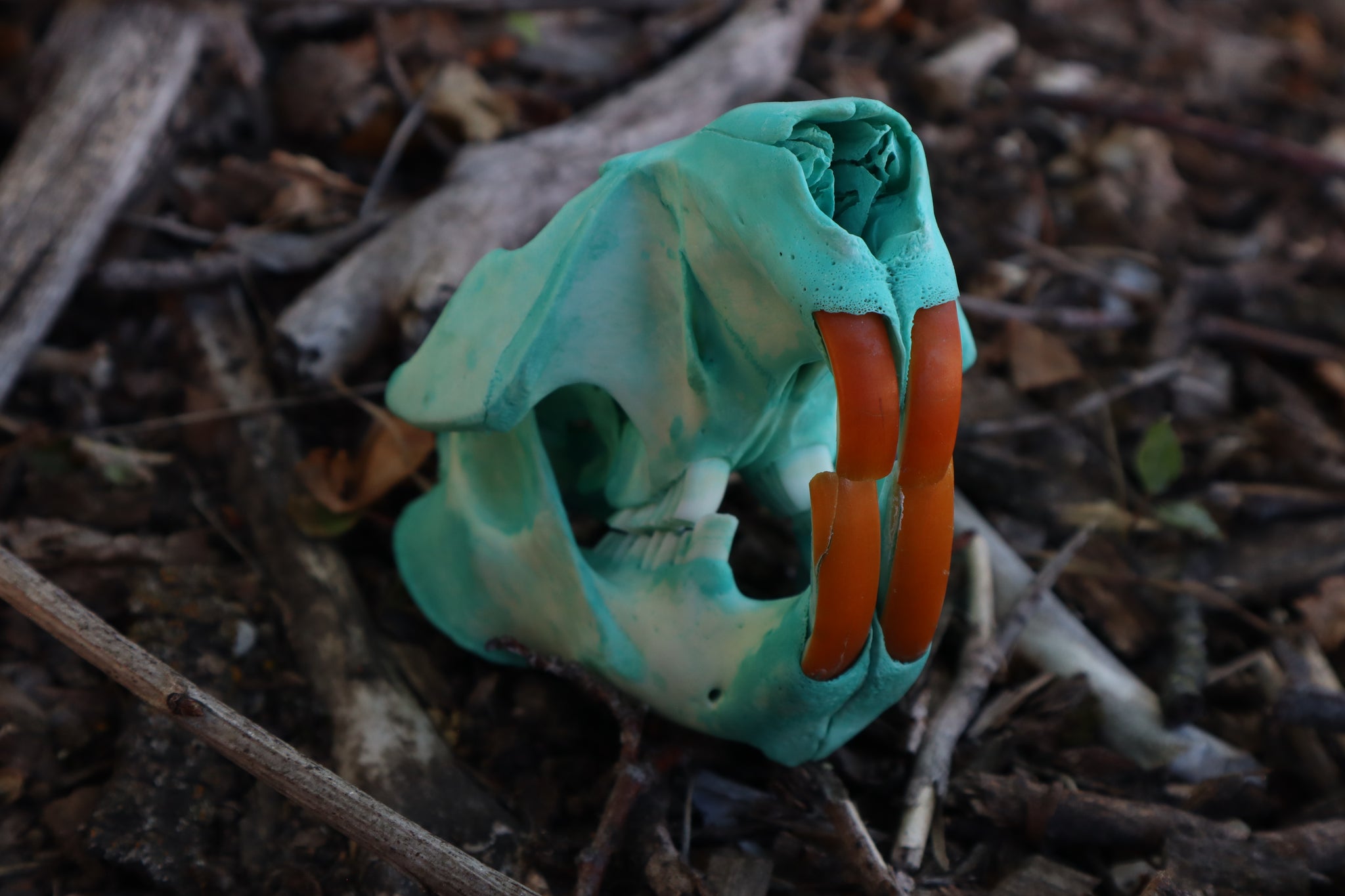 Blue Copper Beaver Skull