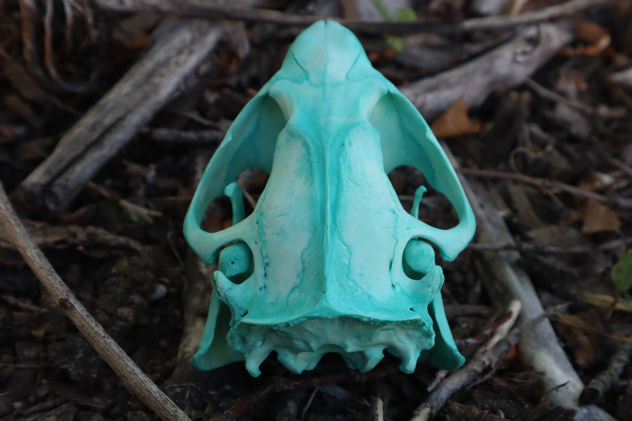 Blue Copper Beaver Skull