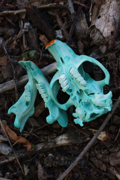 Blue Copper Beaver Skull
