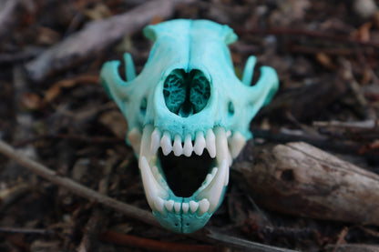Pathological Blue Copper Coyote Skull